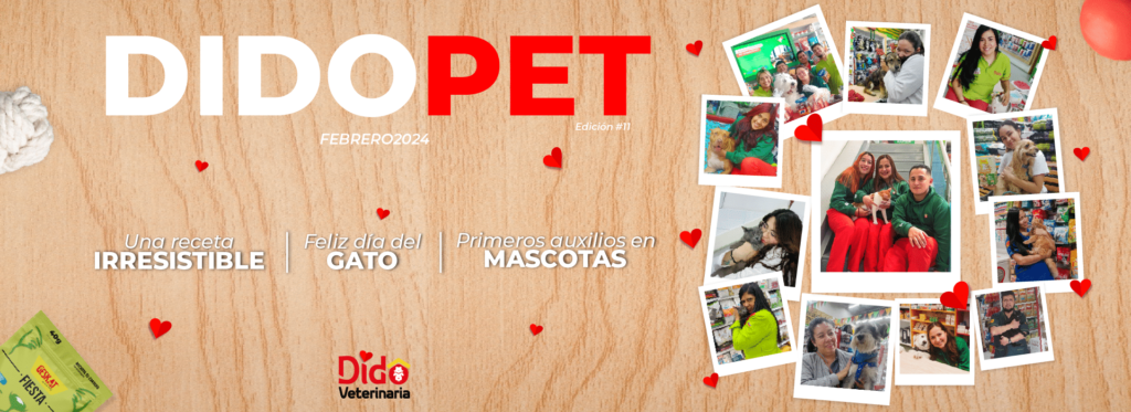 Revista Didopet, edición de febrero de 2024.