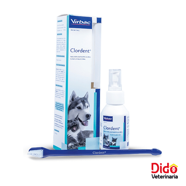 CLORDENT SPRAY 120 ML