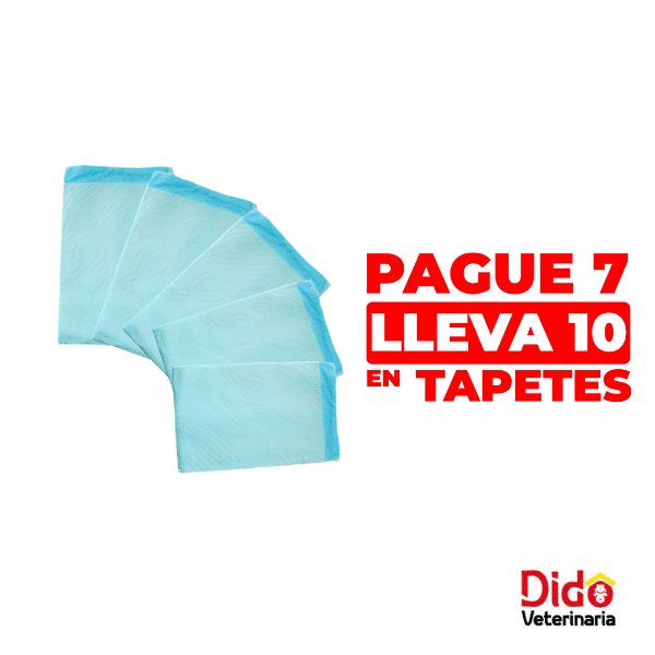 PAÑAL TIPO TAPETE DESECHABLE PROMO