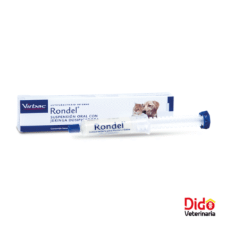 RONDEL ADULTO
