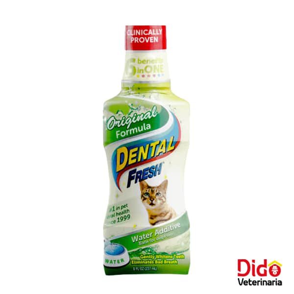 DENTAL FRESH ORIGINAL GATO