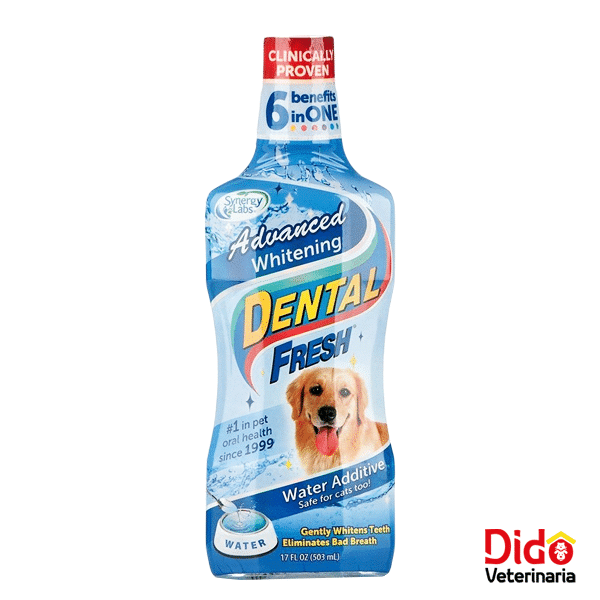 DENTAL FRESH WHITENING 17 OZ