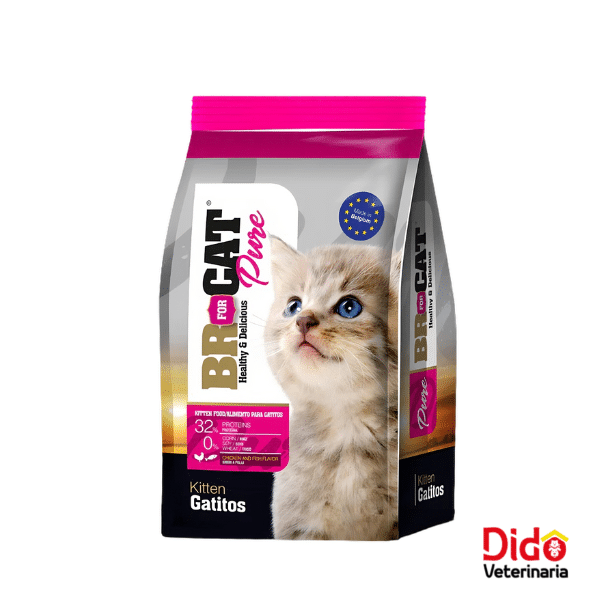 BR FOR CAT GATICOS