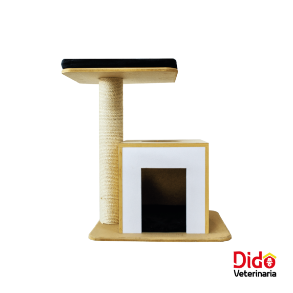 GIMNASIO GESKAT MINI BOX