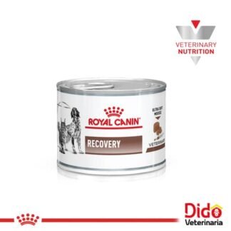 ROYAL CANIN RECOVERY LATA 145 GR