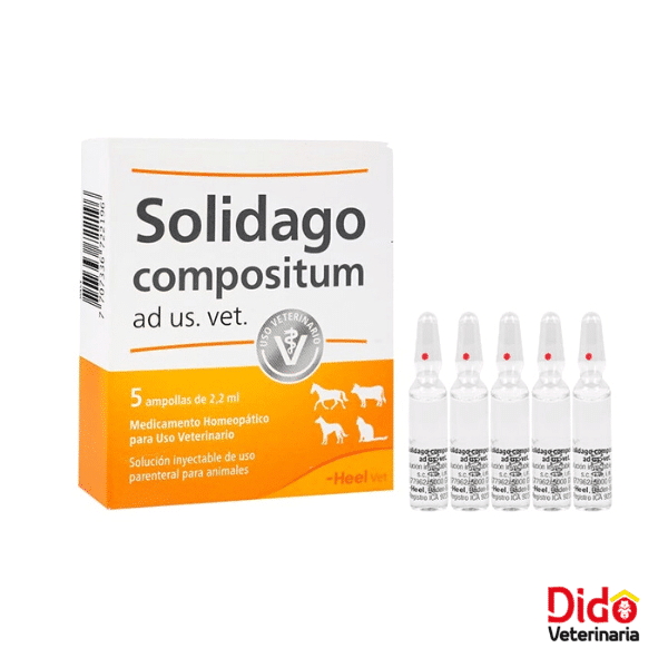 SOLIDAGO COMPOSITUM INYECTABLE 2.2 ML