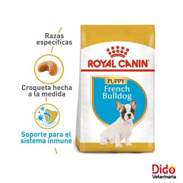 ROYAL CANIN FRENCH BULLDOG PUPPY DOG