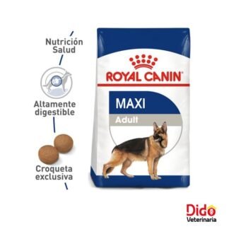 ROYAL CANIN MAXI ADULT DOG