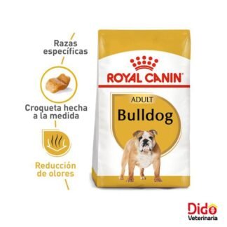 ROYAL CANIN ENGLISH BULLDOG ADULT DOG