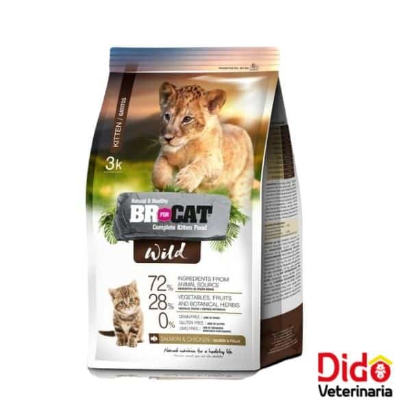 BR FOR CAT WILD KITTEN