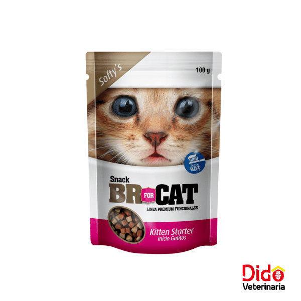 BR FOR CAT SNACK GATITO 100GM UND