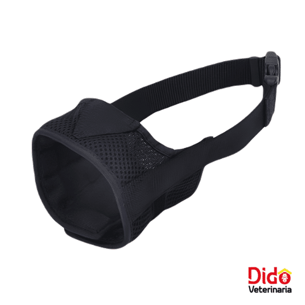 BOZAL COASTAL COMFORT