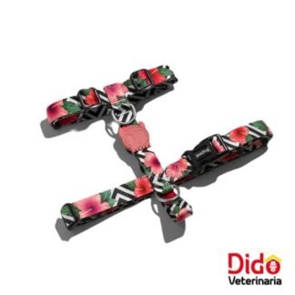 ARNES ZEEDOG H-MAHALO