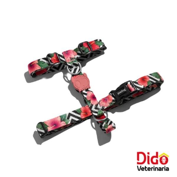 ARNES ZEEDOG H-MAHALO