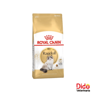 ROYAL CANIN RAGDOLL ADULTO 2KG