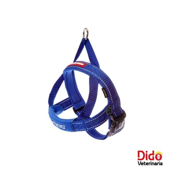 ARNES EZY DOG QUICK FIT AZUL