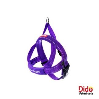 ARNES EZY DOG QUICK FIT MORADO
