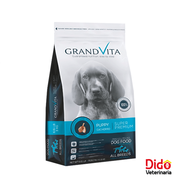 GRAND VITA CORDERO PUPPY