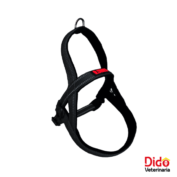 ARNES KONG NORWEGIAN NEGRO