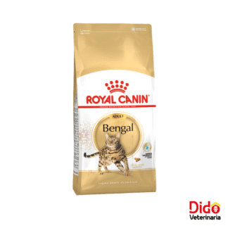 ROYAL CANIN BENGAL ADULTO 2KG
