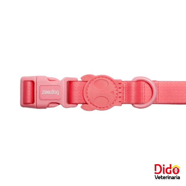 COLLAR ZEEDOG BUBBLEGUM - Imagen 3