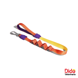 CORREA ZEEDOG RUFF PUMP S