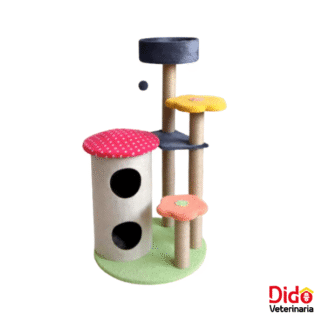 GIMNASIO CHAMPIÑON CALABAZA PETS