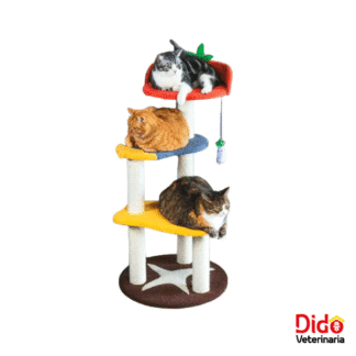 GIMNASIO JARDIN VERDURAS CALABAZA PETS