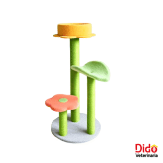 GIMNASIO MAGO DE OZ CALABAZA PETS