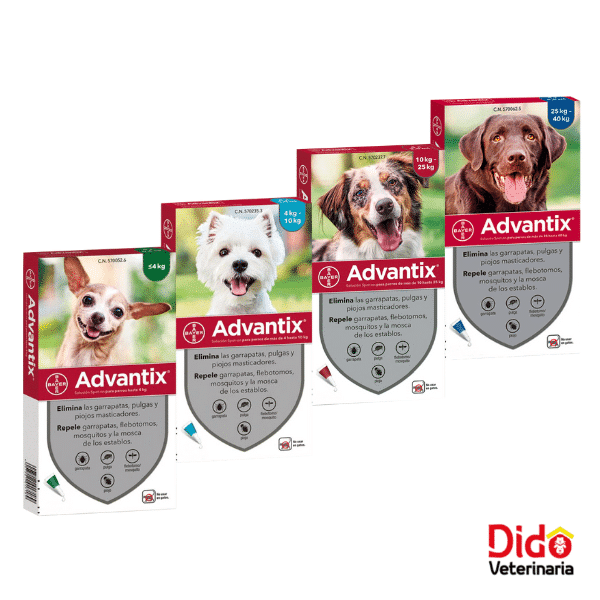 ADVANTIX PARA PERROS