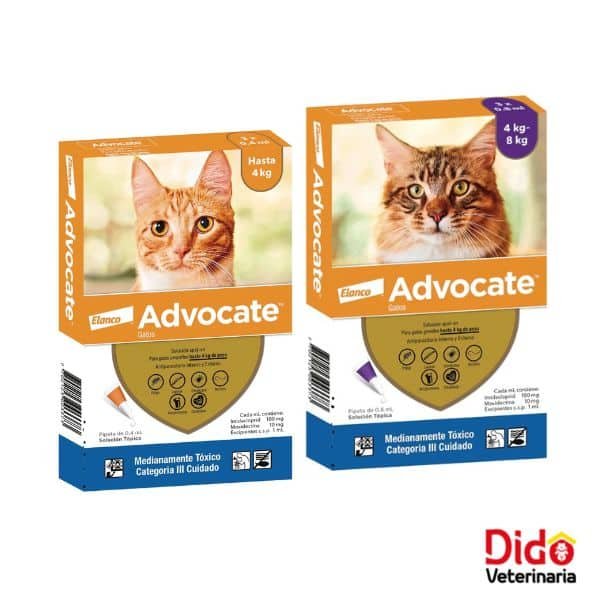 ADVOCATE GATOS