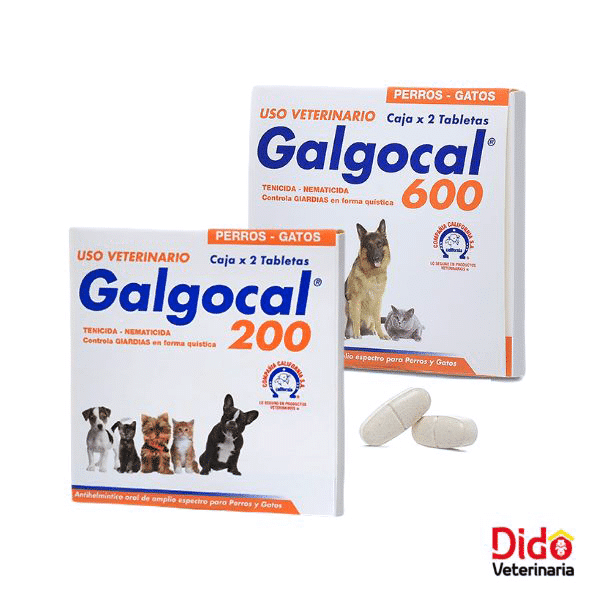 GALGOCAL CAJA POR 2 TABLETAS