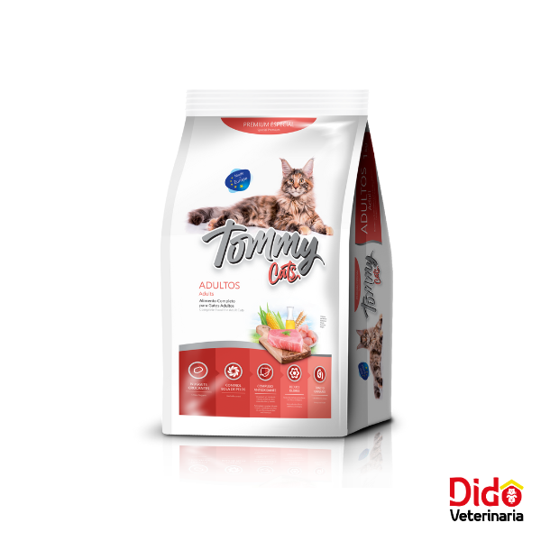TOMMY CAT ADULTO