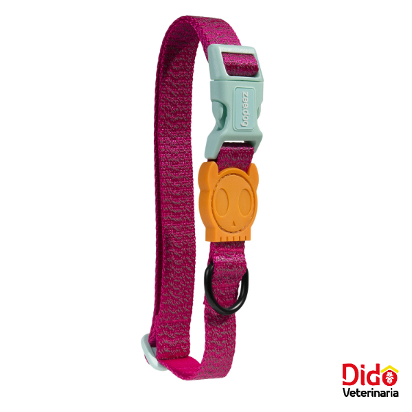COLLAR ZEEDOG NOX SIDUS