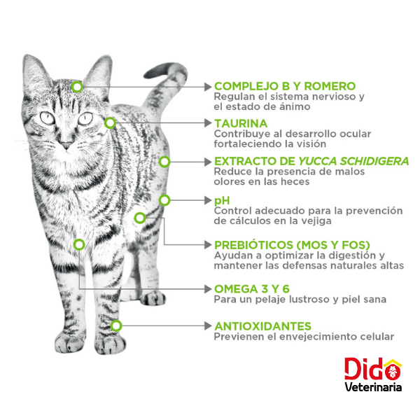 NUPEC CAT ADULTO INDOOR - Imagen 3