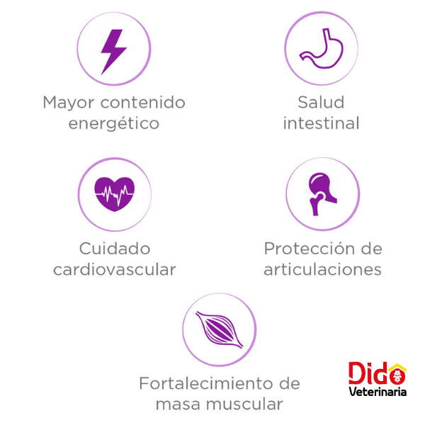 NUPEC DOG HIGH PERFORMANCE - Imagen 3