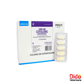 CEFALONG 1000 MG