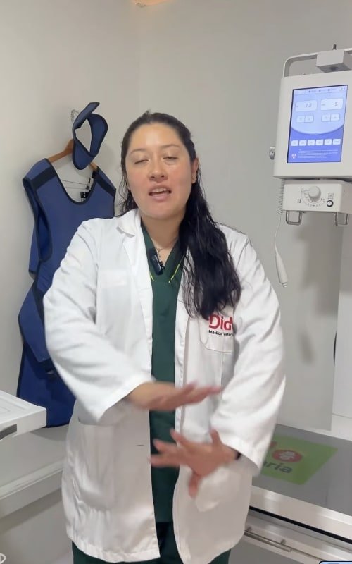 Rectángulo 3097