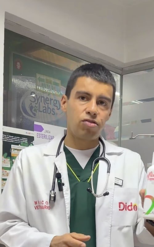 Rectángulo 3098