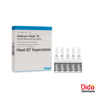 GALIUM INYECTABLE 2 ML