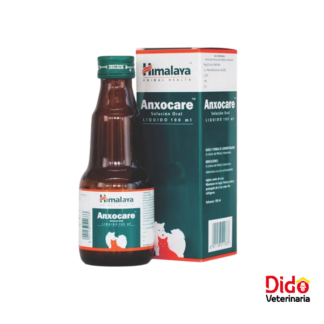 ANXOCARE ORAL 100ML