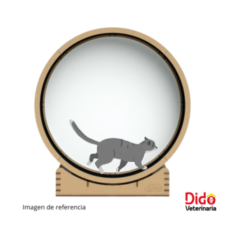 GIMNASIO RUEDA DE EJERCICIO CAT