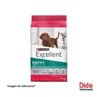 EXCELLENT PUPPY RAZA MEDIANA GRANDE