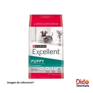 EXCELLENT PUPPY RAZA PEQUEÑA